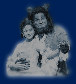 Press - Beauty and the Beast - Shadow